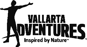 VALLARTA